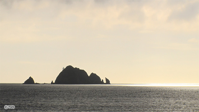 external_image