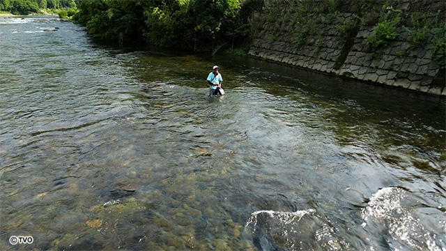 external_image