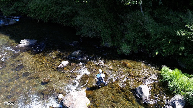 external_image