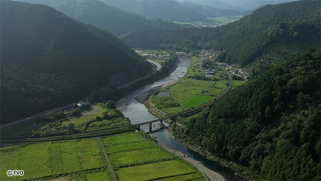 external_image