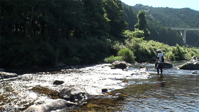 external_image