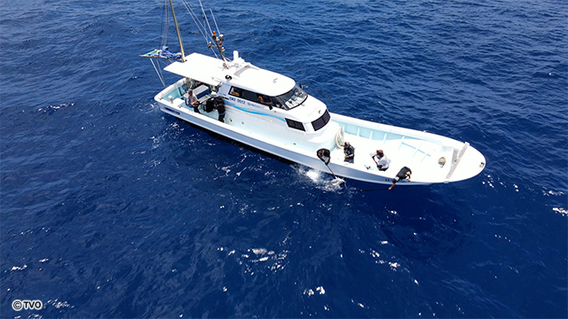 external_image