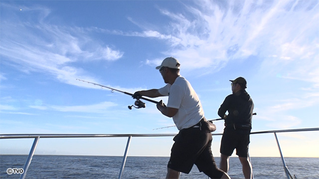 external_image external_image