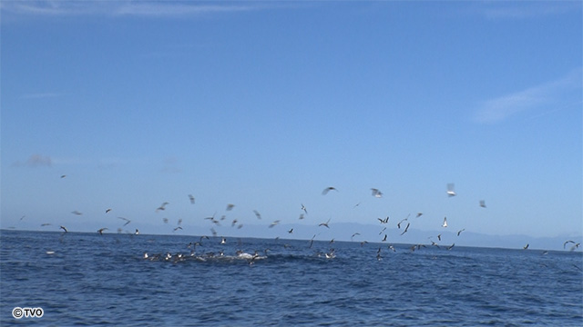 external_image external_image