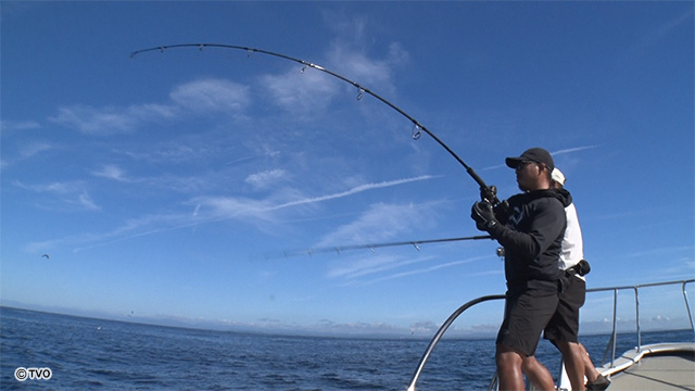 external_image external_image