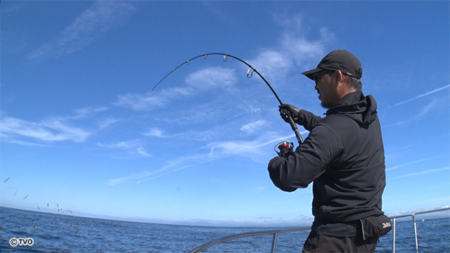 external_image external_image