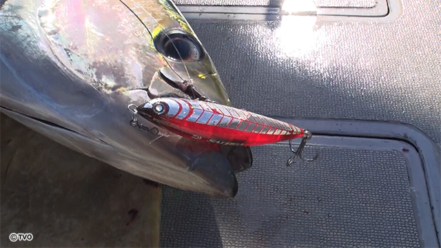 external_image external_image