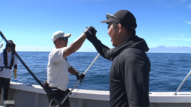 external_image external_image