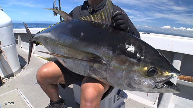 external_image external_image