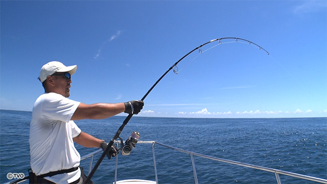 external_image external_image