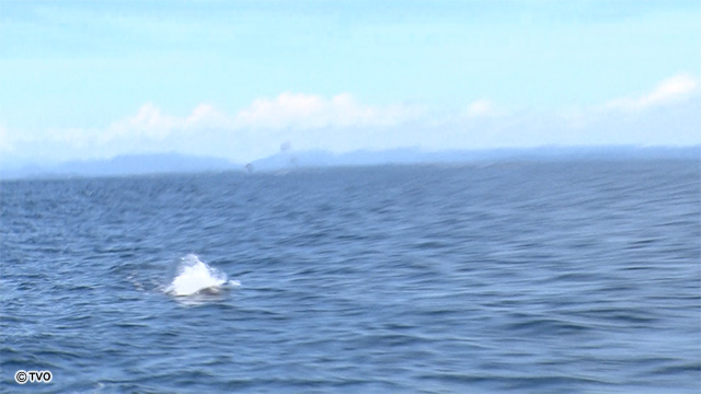 external_image external_image