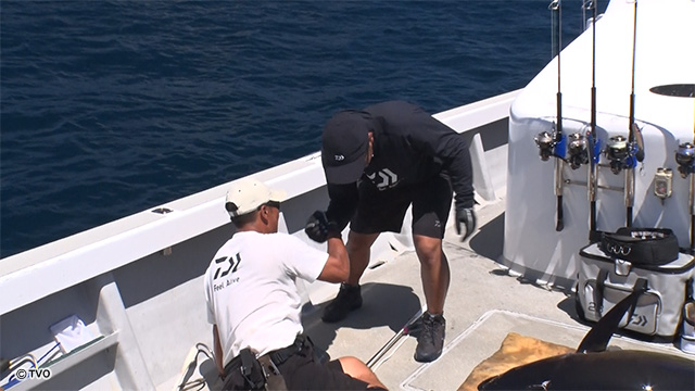 external_image external_image