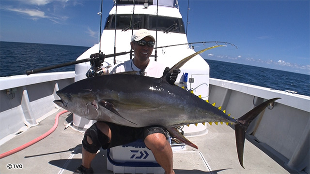 external_image external_image