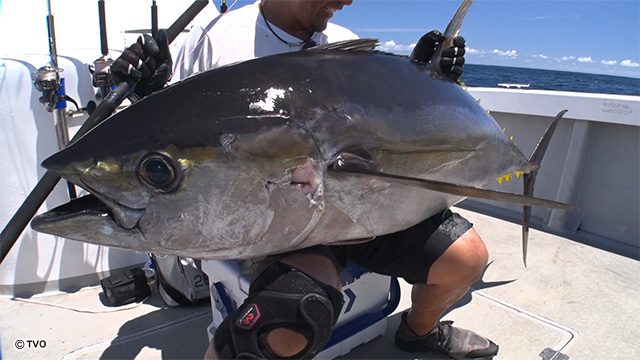 external_image external_image