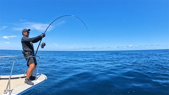 external_image external_image