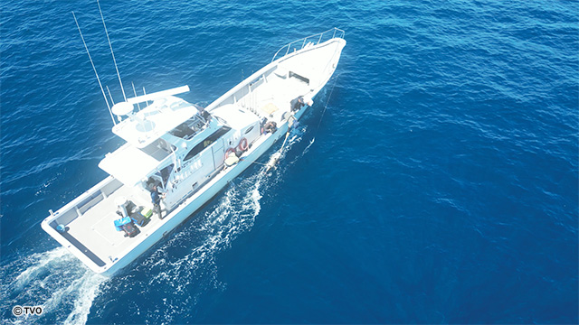 external_image external_image