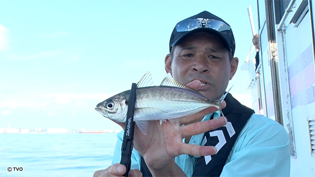 external_image external_image