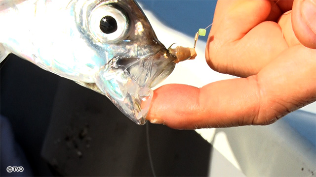 external_image external_image