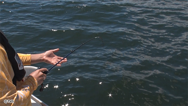 external_image external_image