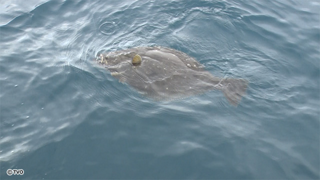 external_image external_image