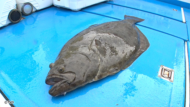 external_image external_image