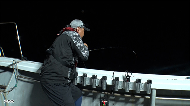 external_image external_image