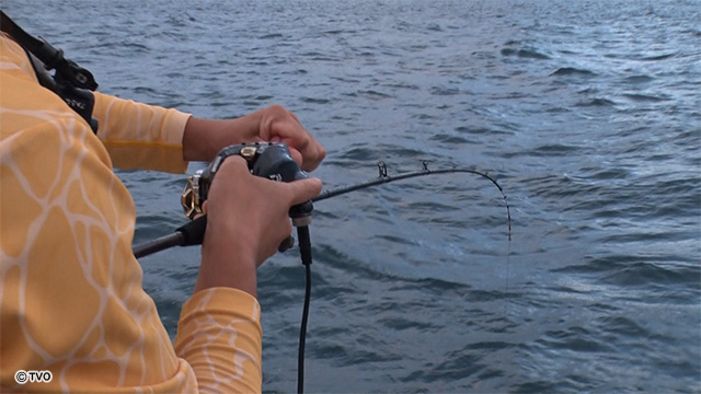 external_image external_image