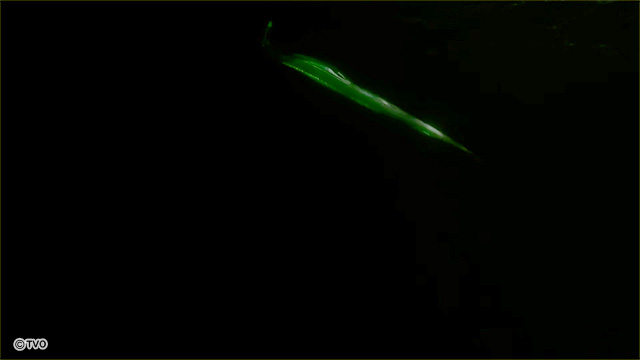 external_image external_image