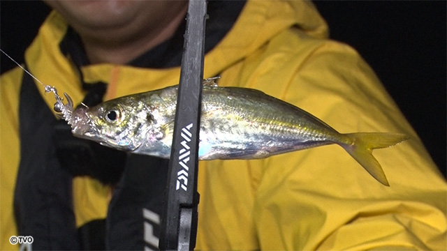 external_image external_image