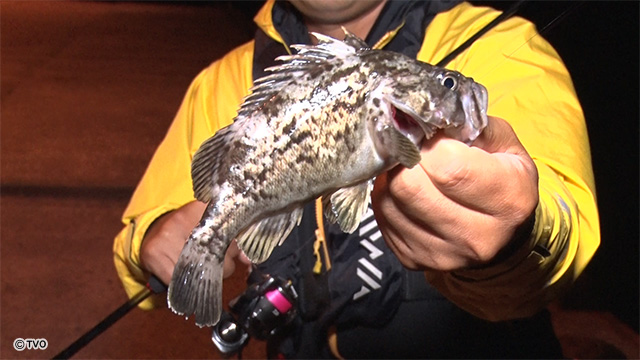 external_image external_image