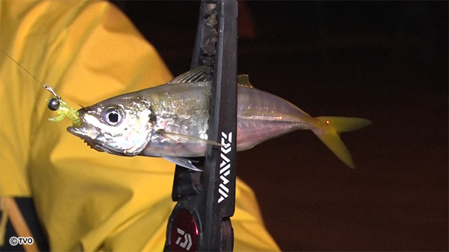 external_image external_image