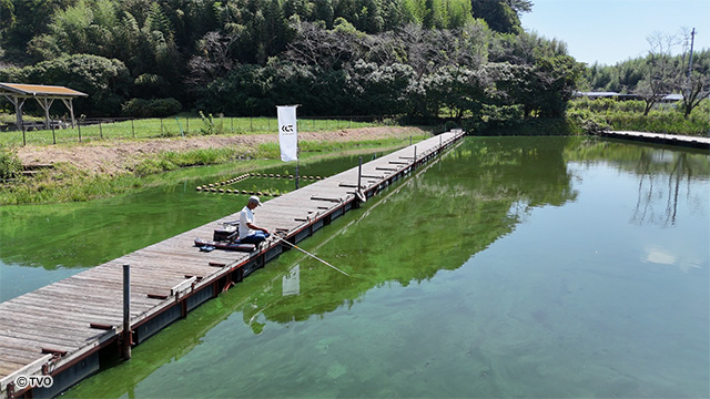 external_image external_image