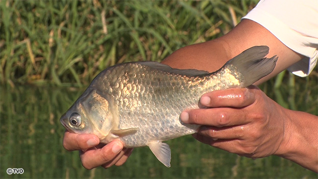 external_image external_image