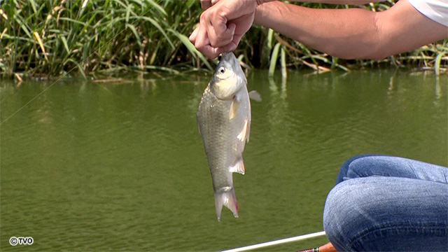 external_image external_image