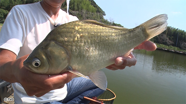 external_image external_image