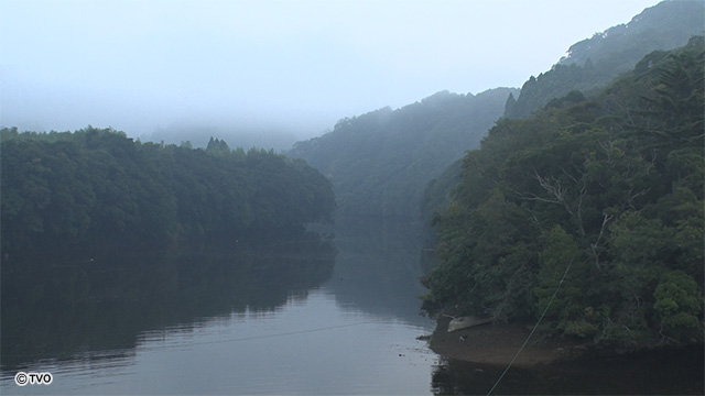 external_image external_image