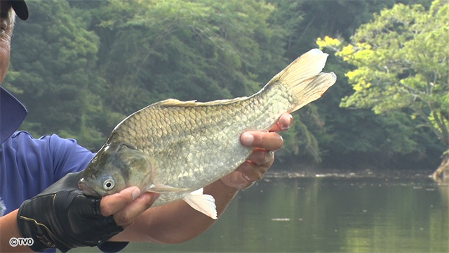 external_image external_image