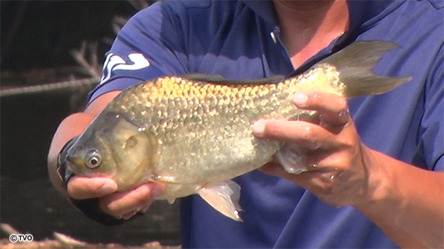 external_image external_image