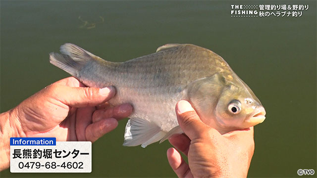 external_image external_image