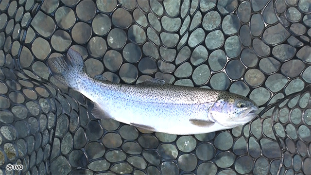 external_image external_image