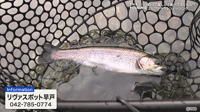 external_image external_image