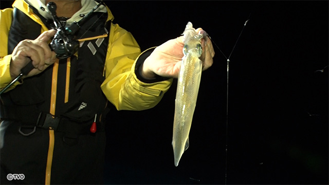 external_image external_image