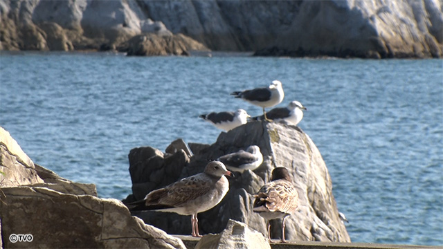 external_image external_image