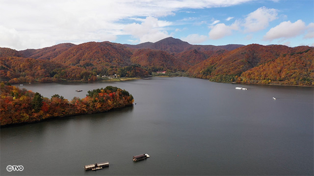 external_image external_image