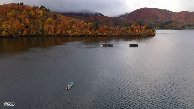 external_image external_image