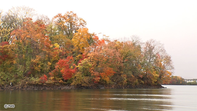 external_image external_image