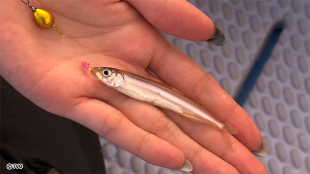 external_image external_image