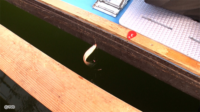 external_image external_image