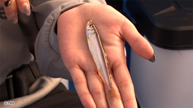 external_image external_image