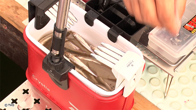 external_image external_image